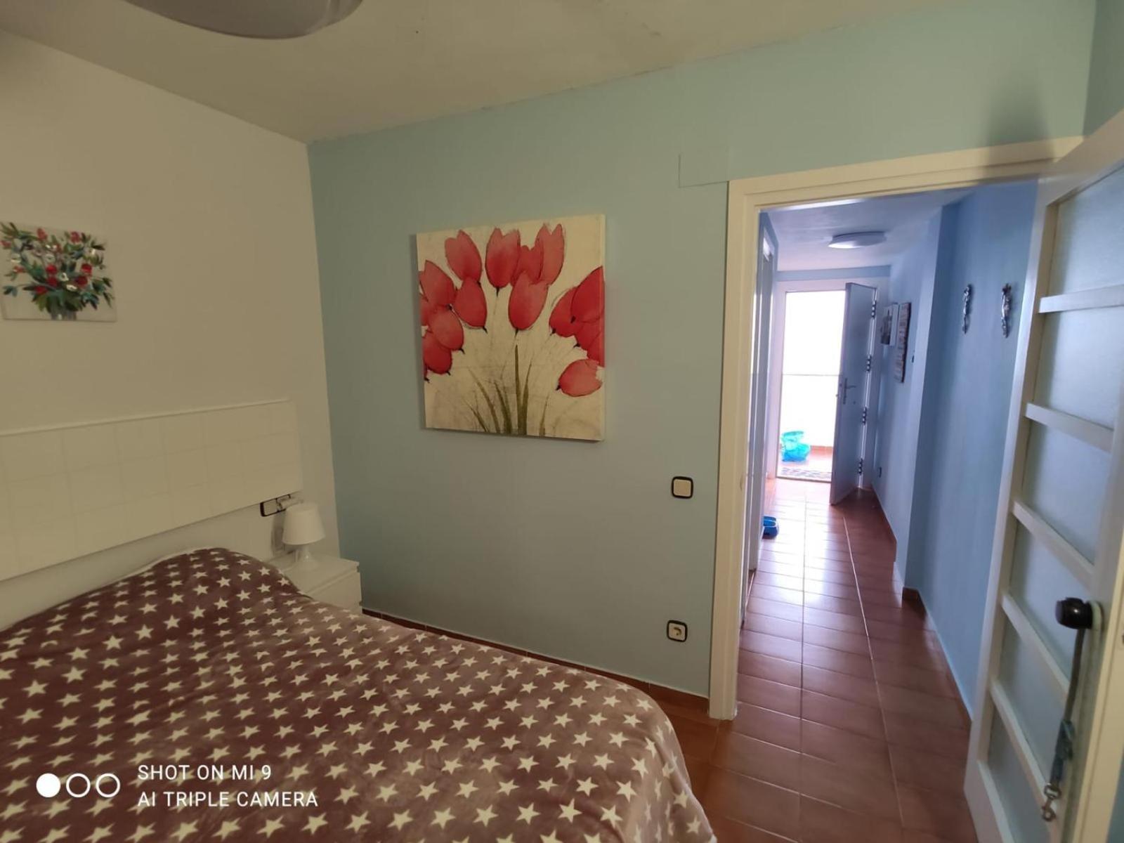 טוסה דה מאר Apartamento Tossa מראה חיצוני תמונה